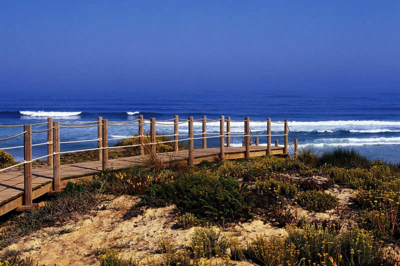 Portugal Surfcamp in Peniche