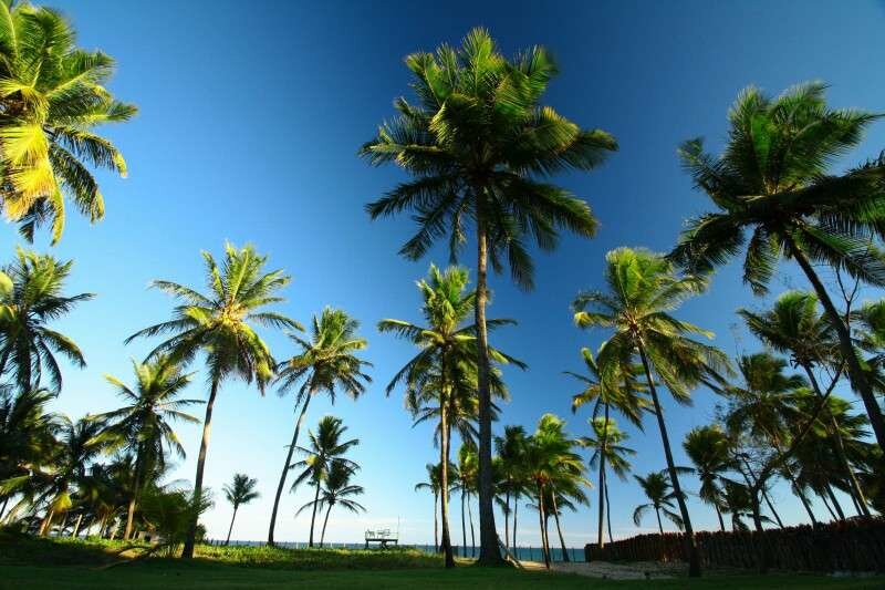 Sprachaufenthalt Salvador da Bahia